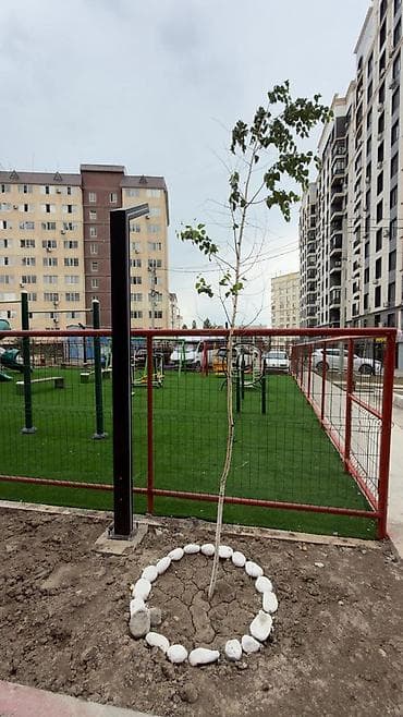 11: 1 комната, 63 м², Элитка, 11 этаж, Готовая ПСО (под самоотделку) — 1