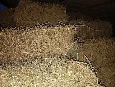 Соломенные тюки разнотравье с камышом .камыш (прямоугольные) тонкие