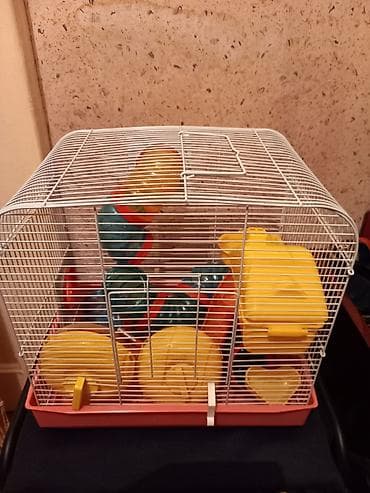 Морские свинки: Клетка для хомяка с игровым лабиринтом - Просторная металлическая — 2