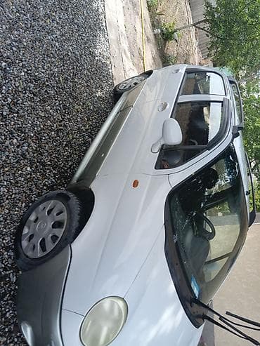 99% родной окрас можете Приштина и увидеть только наличными без кредит