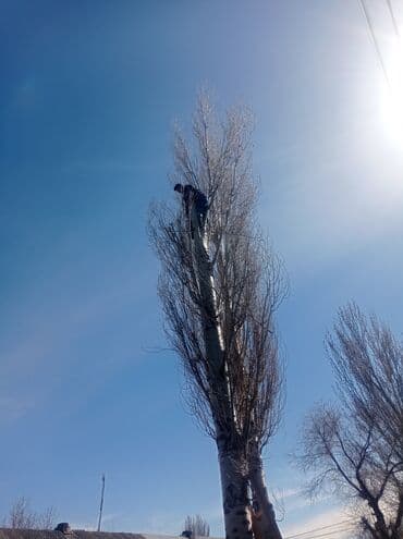 Гарантия 100% "спилю дерево " любой сложности #1 _тынар супер пильшик