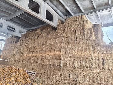 Солома ячменая