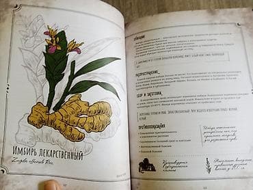 Книга: «Тайны и магия растений. Путеводитель по миру трав и деревьев» — 6