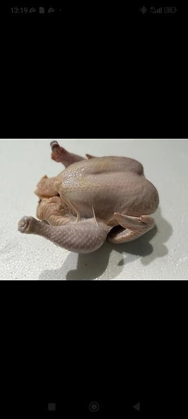 Куриная тушка оптом и в розницу