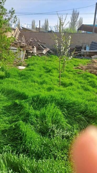 город токмак: Дом, 60 м², 2 комнаты, Собственник, Косметический ремонт — 4