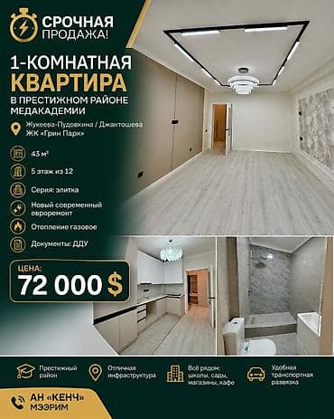 1 комната, 43 м², Мед Академия Элитка, 5 этаж, Свежий ремонт