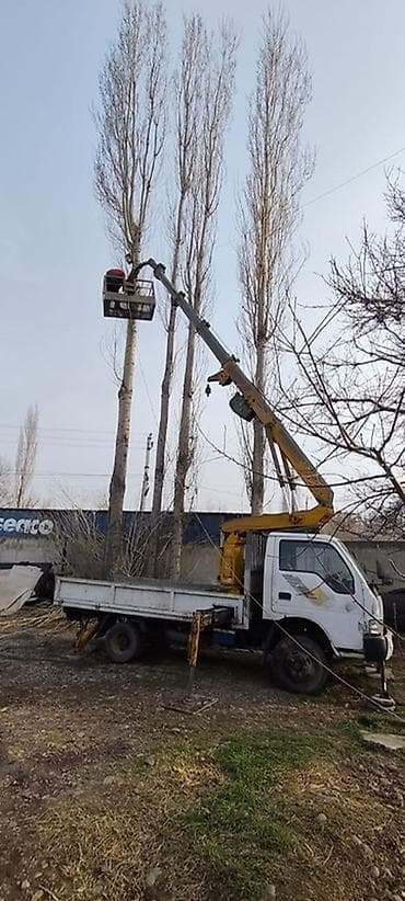 Услуги автогидроподъёмника (автовышка на базе малотоннажного