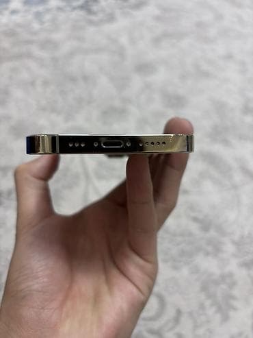 часы феникс 8: IPhone 13 Pro, цвет «Silver» (серебристый) корпус золотистый — 3