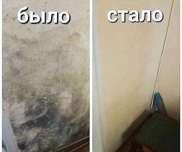 химичиска одежды: Дезинфекция, дезинсекция, | Квартиры — 6