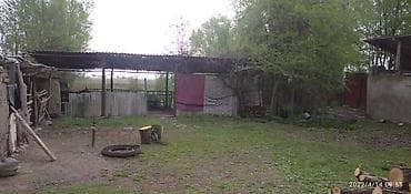 купить сорокатонник: Участок сатылат 35сотых 2ком времянкасы менен баня Жана мал бакканга — 3