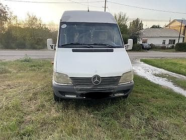 Mercedes-Benz Спринтер: 2003 г., 2.9 л, Механика, Дизель, Бус