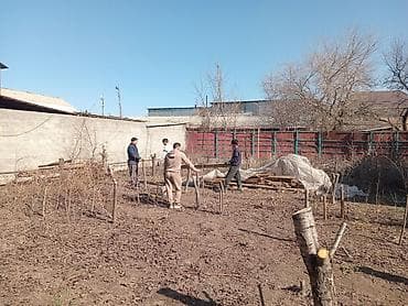 фото на документы: Уборка территории, Уборка двора и сада, Уход за деревьями — 1