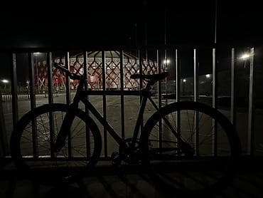 thindiag 2: Фикс‑байк (single speed) городской/трековый - Рама и вилка: жесткая — 2