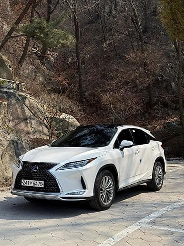 rx450: Lexus RX: 2021 г., 3.5 л, Автомат, Гибрид, Кроссовер — 5