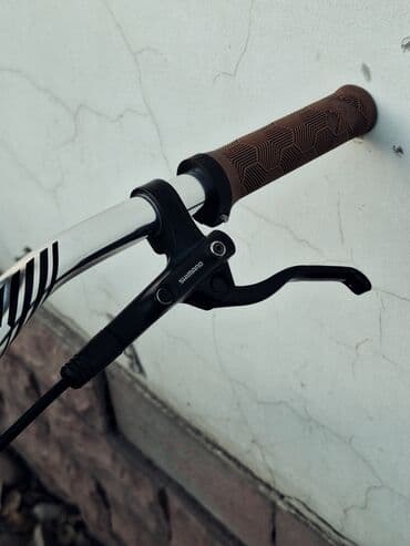 купить велосипед с большими шинами: Горный велосипед, Рама L (172 - 185 см), Алюминий, Б/у — 10