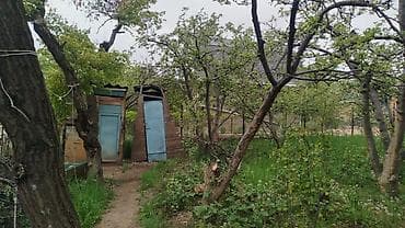 исык куль номера: Дача на Иссык-Куле, село Бостери (ближняя дача). Участок ухоженный — 4