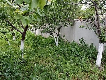 сниму дом лебединовка: 🏡 Продаётся уютный дом в районе Покровки! ✔ 4 большие, просторные — 10