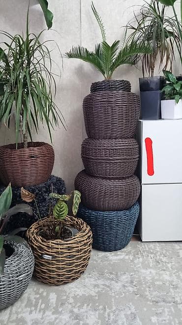 ротанг где купить: Плетёные кашпо для комнатных и уличных растений,плетение на заказ — 2