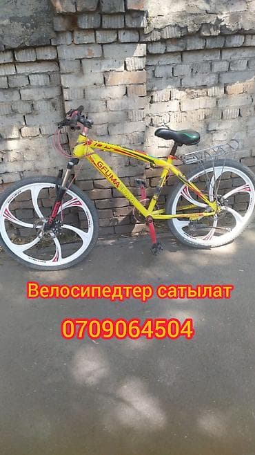 веластер: Горный велосипед, Сталь — 1