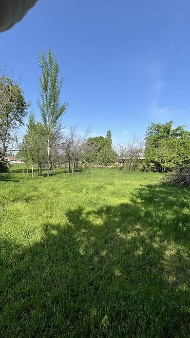 участк: Продается участок в селе Алексеевка 19 соток Большая часть участка — 5