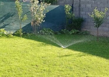 декоративный газон: Газон! Газон! Газон! Газон не только модный, но и очень практичный, а — 4