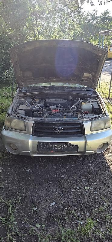 forester: Subaru Forester: 2003 г., 2 л, Автомат, Бензин, Универсал — 4