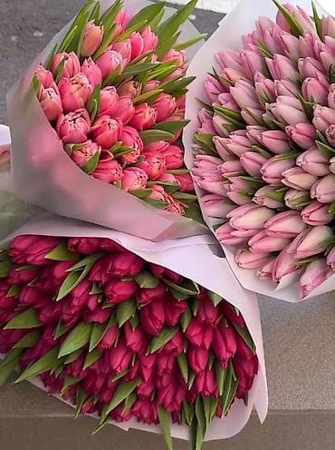 коробка оптом: Открываем бронирование 2026 г.Тюльпаны оптом самые яркие,сочные цвета — 4