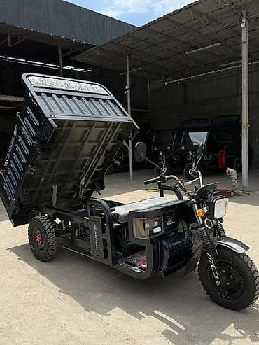 акумулятор 65: Мотороллер муравей Электро, 70 км, 1500 кг и более, Новый — 4