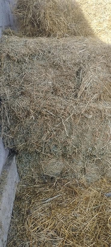 корм для форели: 1 кос — 3