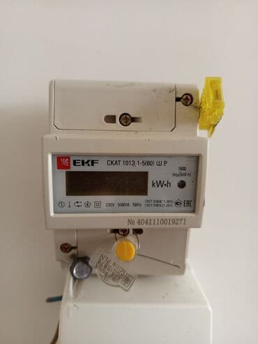 Однофазный Счётчик