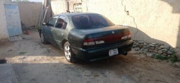 продаю в связи с переездом: Nissan Cefiro: 1998 г., 2 л, Автомат, Бензин, Седан — 1