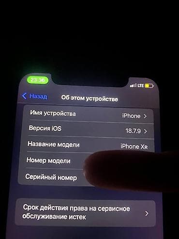 ihone x: IPhone Xr, Белый — 4