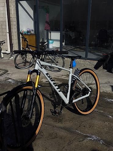 водный мото: Горный велосипед, Giant, Алюминий — 4