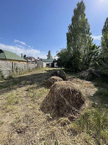 Продажа участков: 4 соток, Для строительства, Красная книга — 8