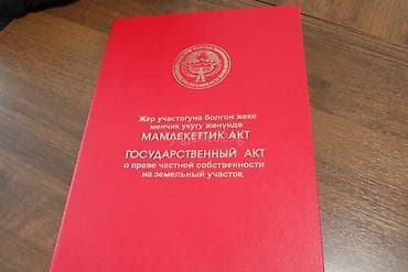 баа: 423 соток — 1