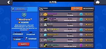 Детский мир: Клуб в Brawl Stars — NiceStorm™ Описание: - Открытый семейный клуб с — 1