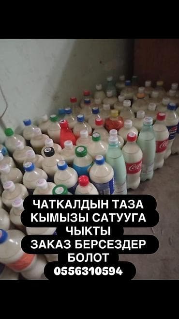 ТАЗА КЫМЫЗ САТЫЛАТ at lalafo.kg ТАЗА КЫМЫЗ САТЫЛАТ