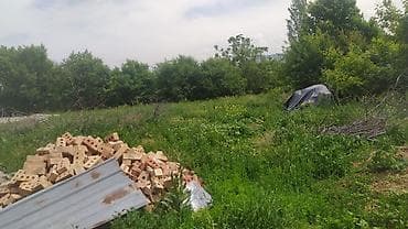 4 соток, Курулуш, Кызыл китеп — 2
