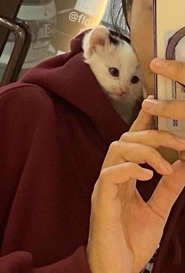 1 месяц, Девочка, С прививками