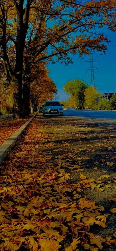 мицу: Mitsubishi Lancer: 2012 г., 1.6 л, Автомат, Газ, Седан — 3