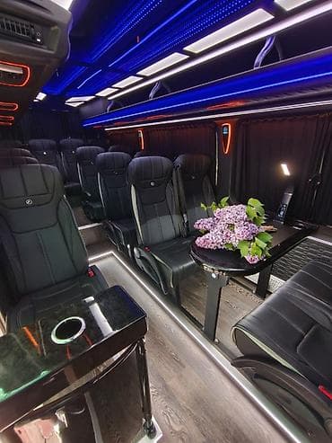 go bus: Mercedes-Benz Sprinter — комфортабельный туристический микроавтобус — 2
