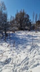 сниму дом недорого: Дом, 157 м², 4 комнаты — 3