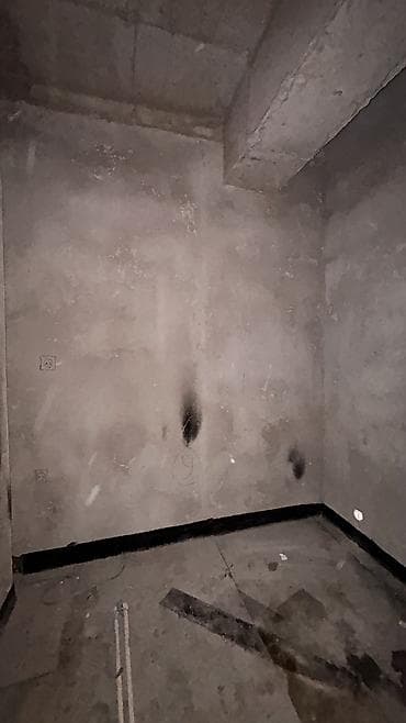 Недвижимость: 1 комната, 47 м², Технопарк Элитка, 7 этаж, ПСО (под самоотделку) — 7