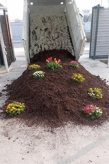 Уголь: В тоннах, Платная доставка, Портер — 1