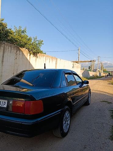 Audi: Audi 100: 1994 г., 2.3 л, Механика, Бензин, Седан — 6