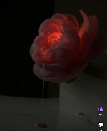 Декор и интерьер: Фигурные свечи розы 500с - Реалистичные фигурные мыла в виде — 1