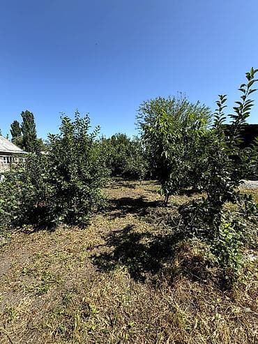 Дома: 📌В селе Беловодское продаётся уютный дом с большим хозяйством на — 2