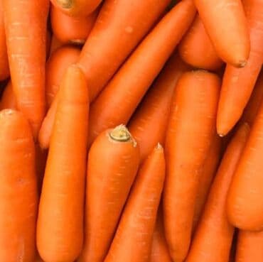 пахта майы: Жүзүм — 6