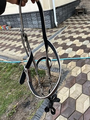 каракол собаки: Кыргыз ээр жана жугон Жазалышы: кожыный оюм чийими бар, колго — 1