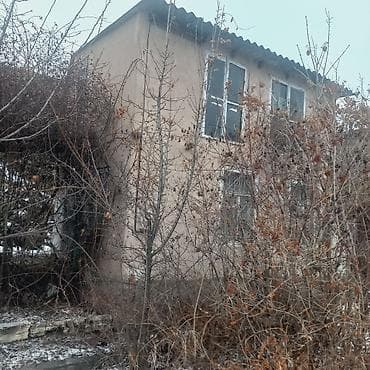 кок ой: 5 соток, Договор купли-продажи — 1